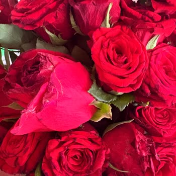 Siparişimde Çürük Ve Solmuş Çiçekler Gönderildi Değişim Yapılmadı