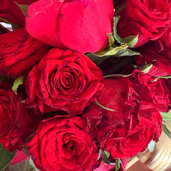 Siparişimde Çürük Ve Solmuş Çiçekler Gönderildi Değişim Yapılmadı