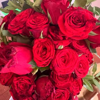 Siparişimde Çürük Ve Solmuş Çiçekler Gönderildi Değişim Yapılmadı