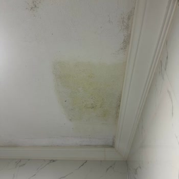 Shc Grup İle Mağduriyet Yaşama