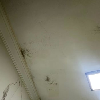 Shc Grup İle Mağduriyet Yaşama