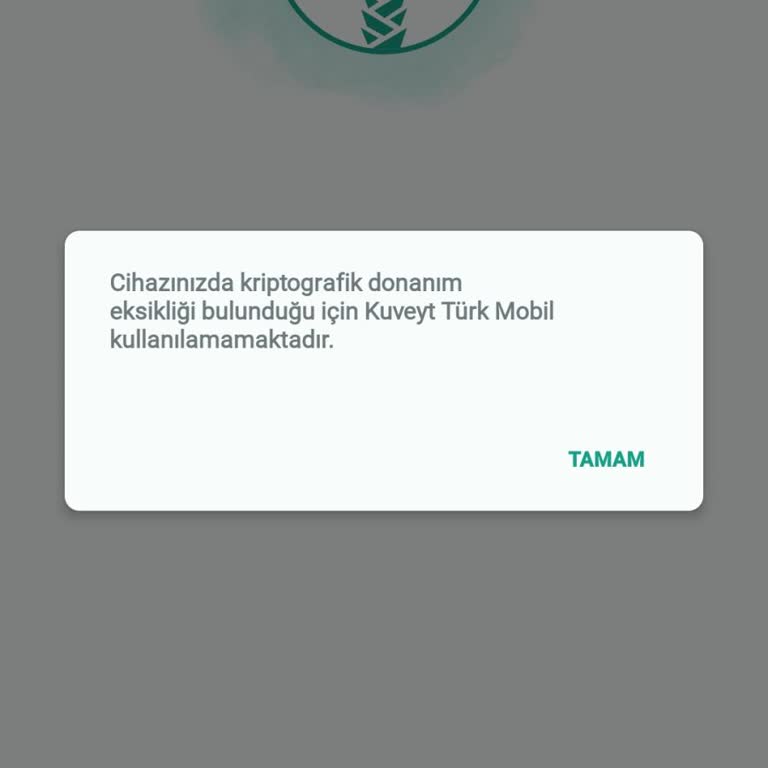 Uygulamaya Giriş Sorunu Ve Çözüm Beklentisi