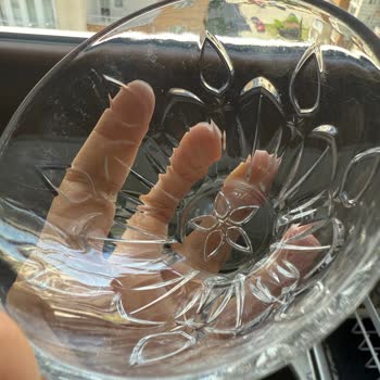 Siemens Bulaşık Makinesi Sürekli Sorunlu Ve Bardaklarda Kalıcı Lekeler Oluşuyor