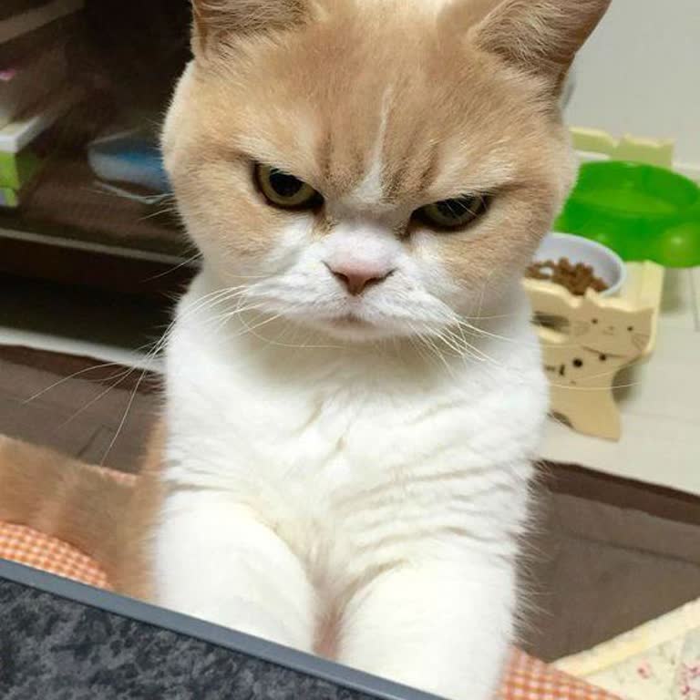 Ziraat Bankası'ndan Troy Kart Başvurusu Yapamama Ve Müşteri Hizmetlerine Ulaşamama Sorunu