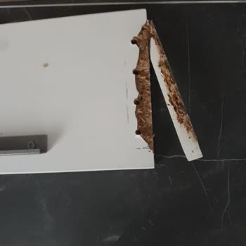 Çilek Mobilya'nın Romantik Karyolası Kısa Sürede Kırıldı, Destek Yetersiz