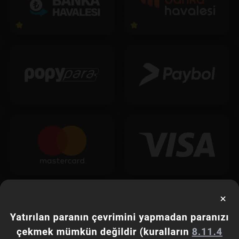 Başarıbet Sitesinde 2208 TL Ödememi Alamıyorum Ödeme Ekranı Sorunlu!