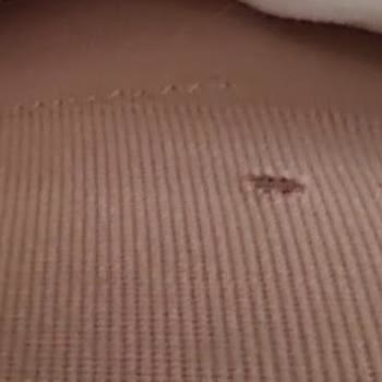 Bagiten Firması İle Sorun Yaşama