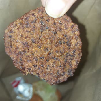 Soğuk Ve Kurumuş Burger Köftesi Hijyen Endişesi Yarattı