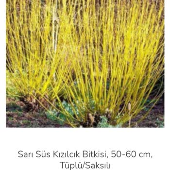 Satıcı Güvensizliği Ve Ayıplı Ürün Sorunu