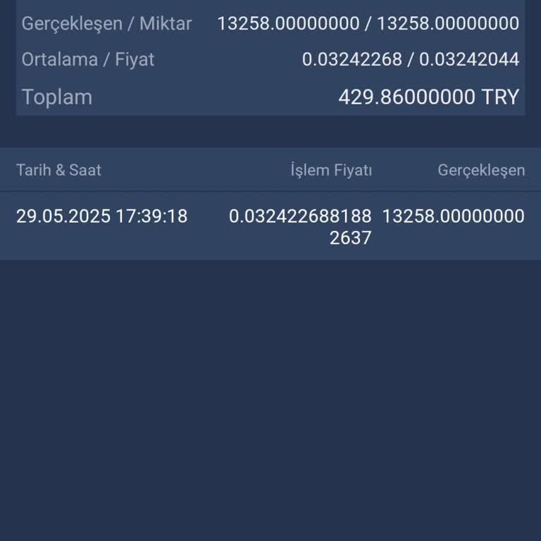 Bitexen'de Gece Yarısı Mağduriyeti: 29 Bin TL Buhar Oldu!