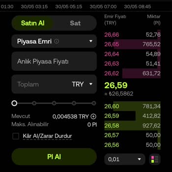 Bitexen'de Pi Coin Delist Edilmesi Sonucu Büyük Maddi Kayıp