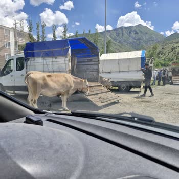 Erzurum Uzundere Belediyesi Hayvan Pazarının Evimin Önüne Kurulması