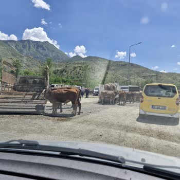 Erzurum Uzundere Belediyesi Hayvan Pazarının Evimin Önüne Kurulması