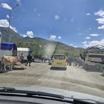 Erzurum Uzundere Belediyesi Hayvan Pazarının Evimin Önüne Kurulması