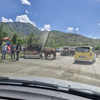 Erzurum Uzundere Belediyesi Hayvan Pazarının Evimin Önüne Kurulması