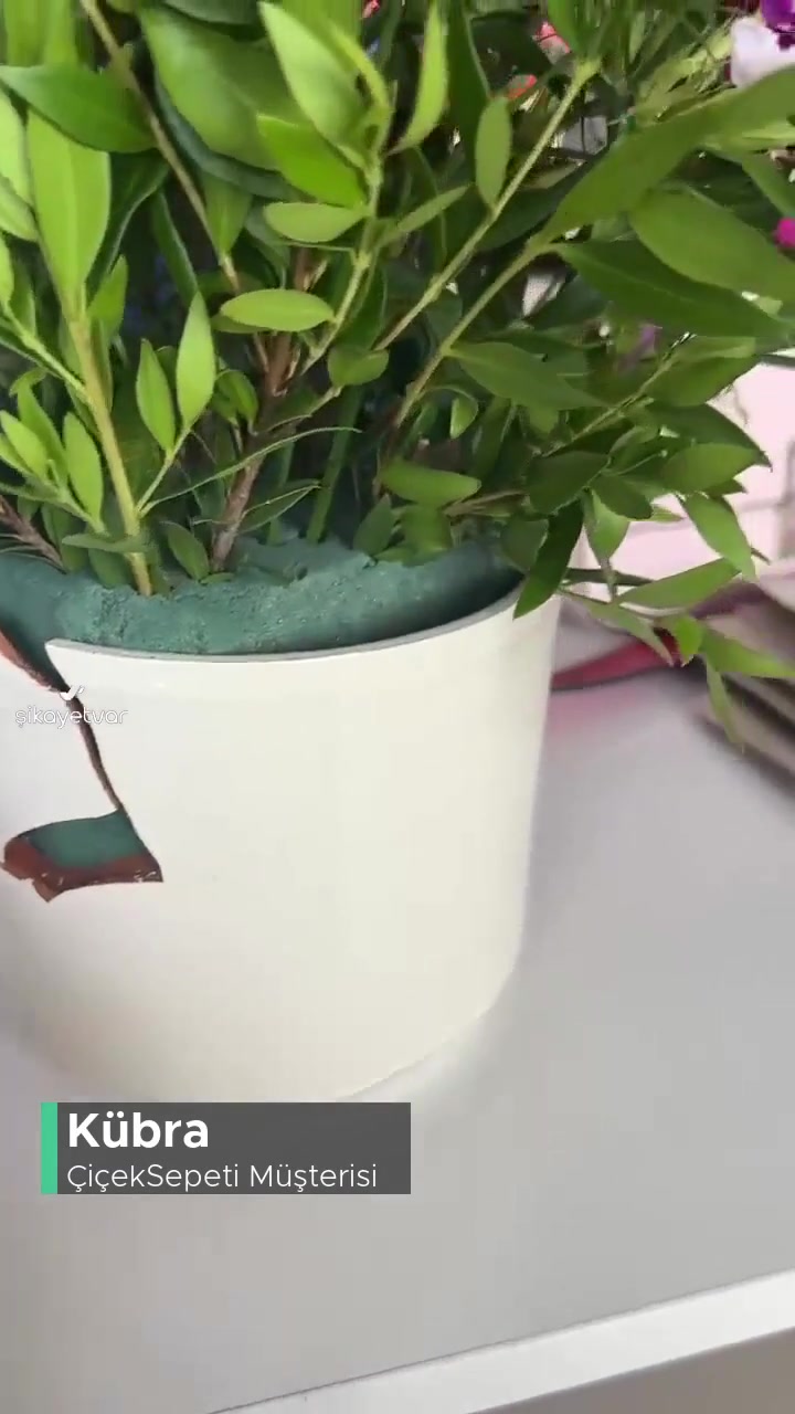 Çiçek Sepeti Mağduriyeti! videonun kapak resmi