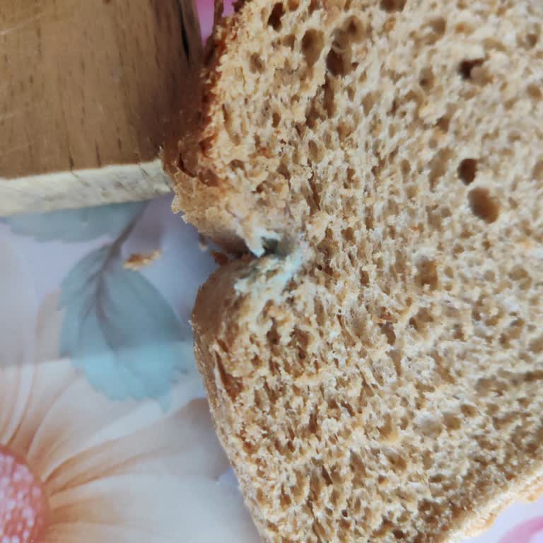 BİM'den Alınan Ekmecik Marka Ekmek Küflü Çıktı