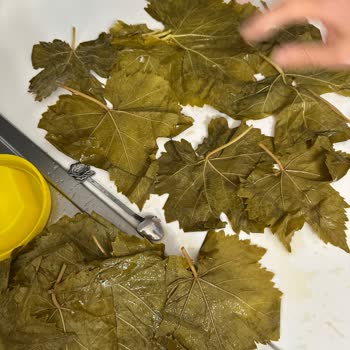 Sipariş Verdiğim Yapraklar Kalitesiz Ve İade Süreci Sorunlu