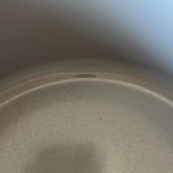 Madame Coco Müşteri Hizmetlerine Ulaşılamıyor Kusurlu Ürün Değişimi Yapılmıyor