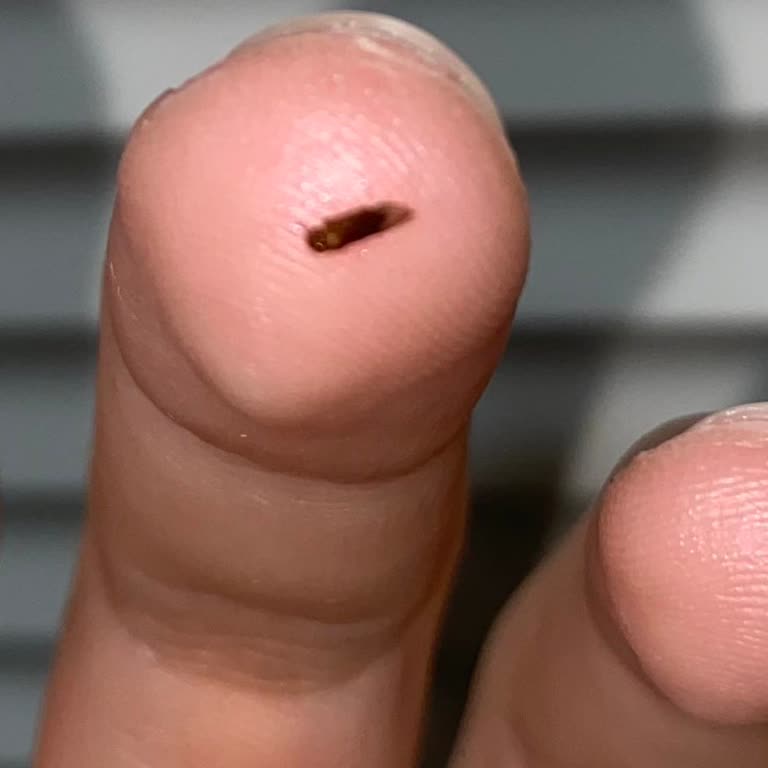 Saç Kreminden Böcek Çıkmasıyla Büyük Hayal Kırıklığı