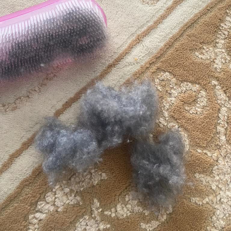 Battaniye İadesi İçin Aylardır Ödeme Yapılmadı Müşteri Hizmetleri İlgisiz