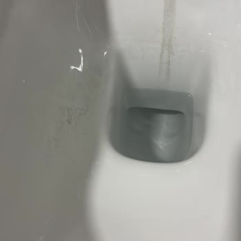 Klozette Tekrarlayan Siyah Lekeler Ve Yetersiz Servis Desteği