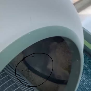 Groove Otomatik Kedi Tuvaletinde Membran Sorunu Ve Firma İlgisizliği