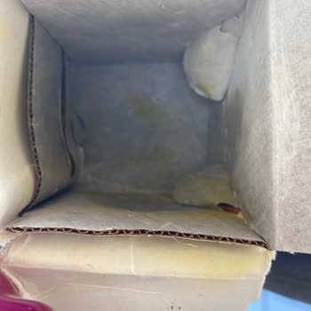 Aldığım Parfüm Hatalı Ve Hasarlı Geldi, İletişim Kurulamıyor