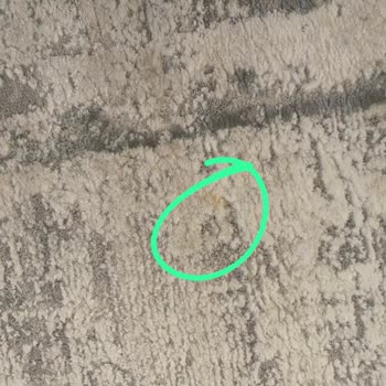 Halı Temizliği Yetersiz, Ücret Yüksek