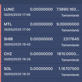 Bilgim Dışında Gerçekleşen Coin Transferi Ve Bakiyemin Sıfırlanması