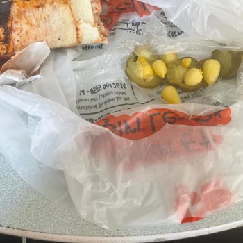 Döner Siparişimde Ölü Sinek Şoku