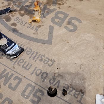 Pizzadan Çıkan Zeytin Çekirdeğiyle Yaşanan Tehlike