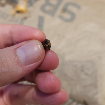 Pizzadan Çıkan Zeytin Çekirdeğiyle Yaşanan Tehlike