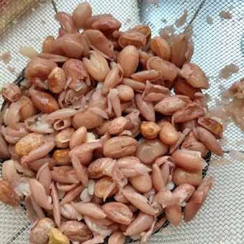 Duru Marka Barbunya Kalitesiz Ve Kullanıma Uygun Değil