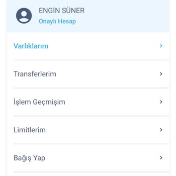 Bitexen Hesabımdaki Para Kayboldu, İşlem Görünmüyor