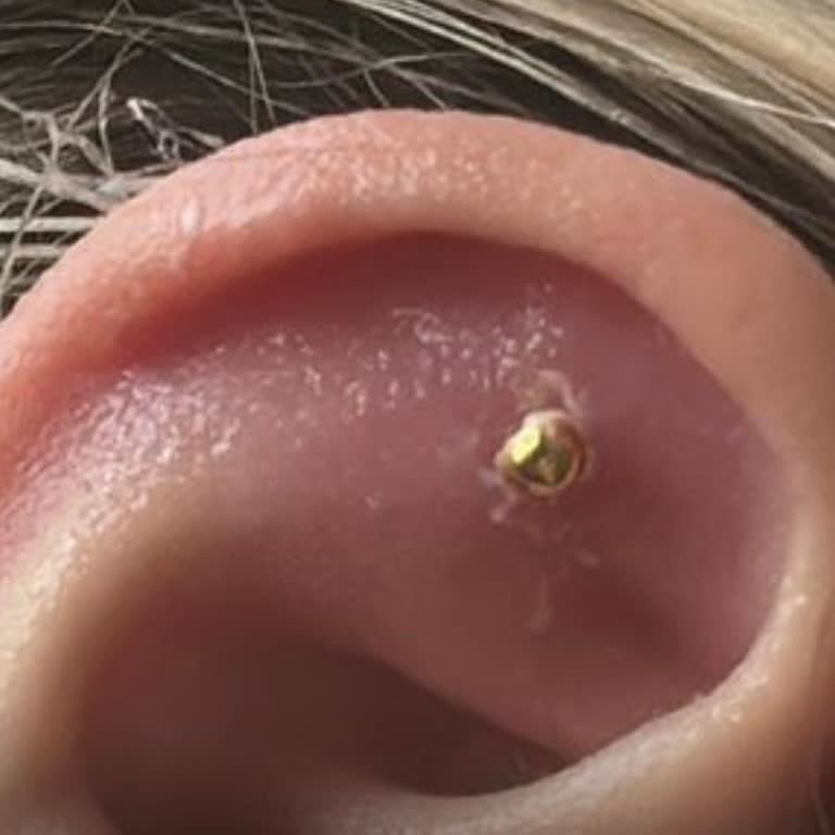 Z/28 Ink Tattoo & Piercing Hijyenik Çalışmıyor!