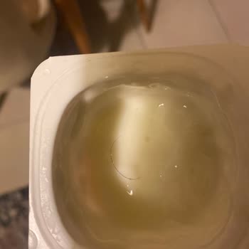Danone Meyveli Yoğurttan Kıl Çıkması Nedeniyle Güven Sorunu Yaşadım