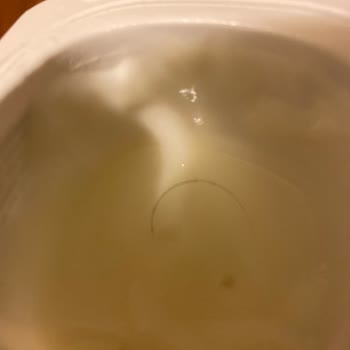 Danone Meyveli Yoğurttan Kıl Çıkması Nedeniyle Güven Sorunu Yaşadım