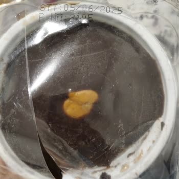 A101 Hanımdan Profiterol Bozuk Ürün