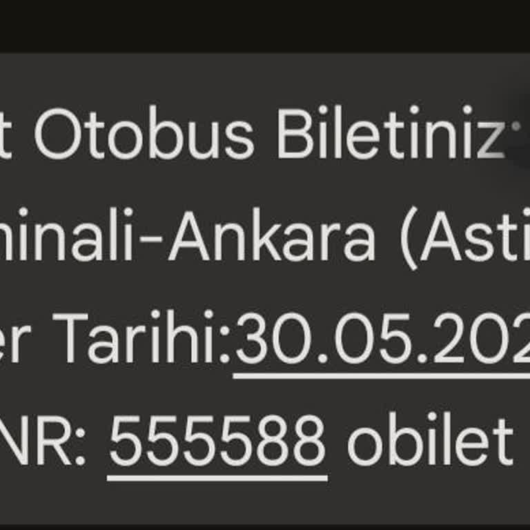 Kale Seyahat'te Yaşanan Gecikme Ve Bilgi Eksikliği