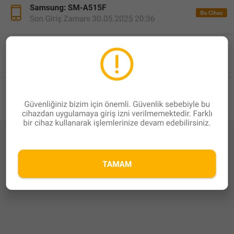 Güvenlik Engeli Nedeniyle İnternet Bankacılığına Giremiyorum