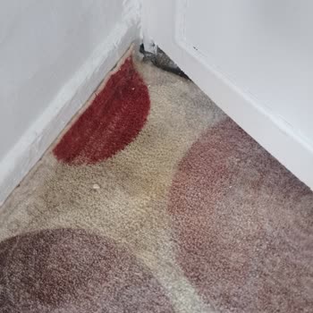 Yıkama Sonrası Halım Yırtık Ve Kirli Geri Geldi, İlgisiz Hizmet