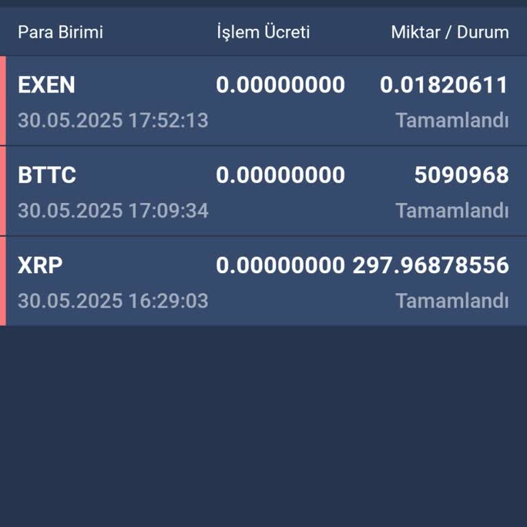 Bitexen Hesabımdaki Tüm Bakiyenin Açıklamasız Şekilde Sıfırlanması