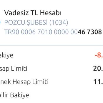 Borcumu Ödemek İstiyorum, Sistem Engelliyor: Yapı Kredi'de Bloke Mağduriyeti
