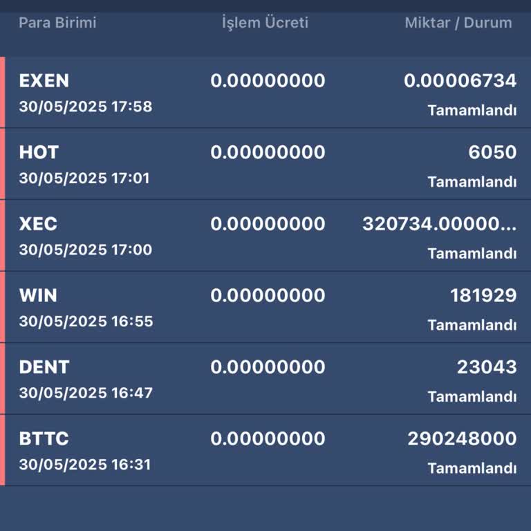 Bitexen Hesabımdaki Tüm Paralar Habersizce Çekildi!