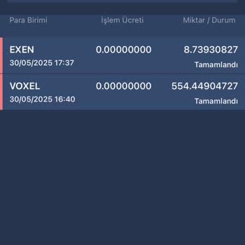 Hesabımdaki Kripto Paralar Bilgim Dışında Çekildi Ve Kayboldu