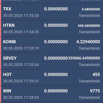 Hesabımdaki Coinlerin Bilgim Dışında Satılması Ve Kaybolması