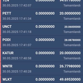 Hesabımdaki Coinlerin Bilgim Dışında Satılması Ve Kaybolması