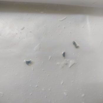 Ekici Peynirde Şüpheli Görüntüyle Karşılaştım, Sağlığımız Tehlikede