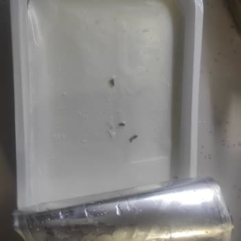 Ekici Peynirde Şüpheli Görüntüyle Karşılaştım, Sağlığımız Tehlikede